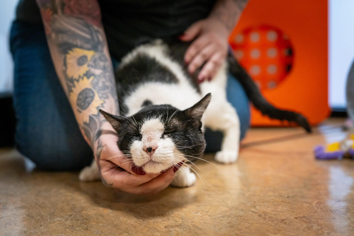 Referral partner of the month photo (1)