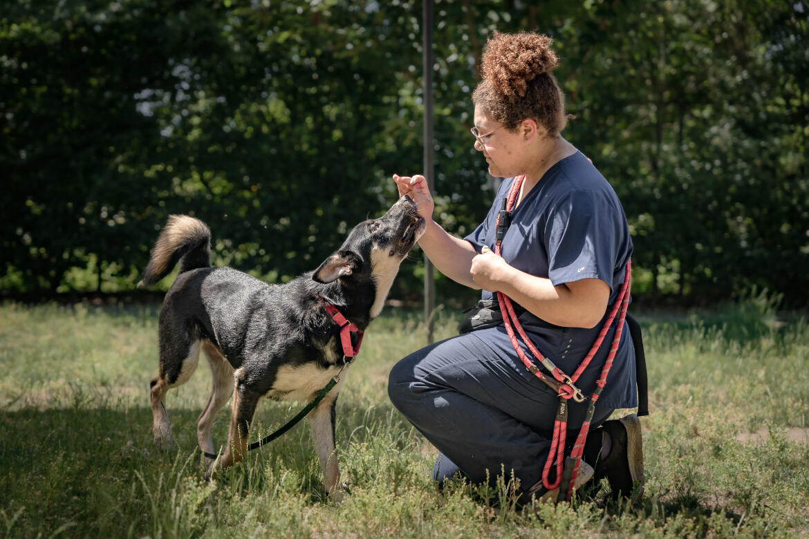 Referral partner of the month photo (2)